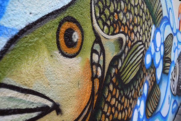 Nikon D7500 review -- Sample photo