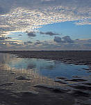 Click to see YA10019-EDIT.JPG