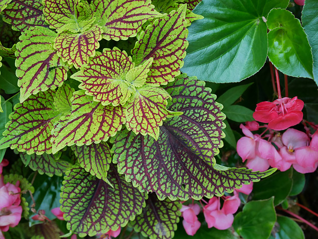 Panasonic GX85 sample image