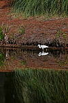 Click to see Y-DP-0365.JPG