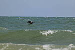 Click to see Y-DP-0620.JPG