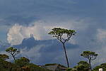 Click to see Y-DP-0655.JPG