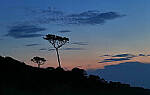 Click to see Y-DP-10154-edt.jpg
