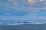 Click to see Y-DP-10173-edt.jpg