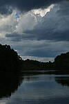 Click to see Y-DP-85mm-1210.JPG