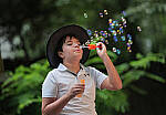 Click to see Y-DP-85mm-1485-EDT.JPG