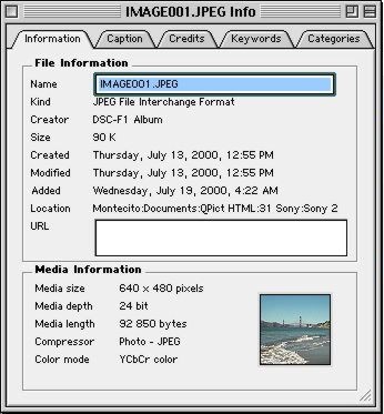 File Information
